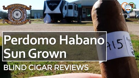 MILD w/ SPICE Say What? The PERDOMO Habano SUN GROWN Robusto - CIGAR REVIEWS by CigarScore