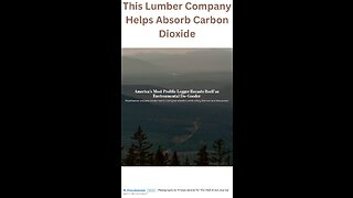 This Lumber Company Helps Absorb Carbon Dioxide