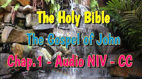 The Holy Bible - The Gospel of John - Chapter 1 (Audio Bible NIV)