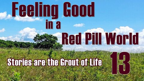 Feeling Good in a Red Pill World - Stories are the Grout of Life