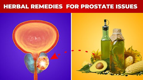 Herbal Remedies vs Conventional Treatments for Prostate Issues | prostatitis