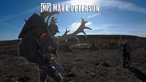 How to Cape and Quarter a Caribou | Mark Peterson Hunting