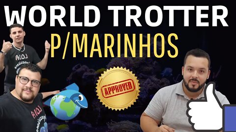 WORLD TROTTER NOS AQUÁRIOS MARINHOS DA LOJA AQUARISMO ENTRE AMIGOS