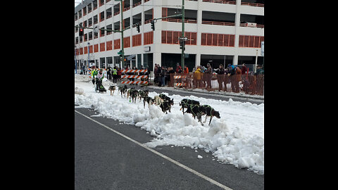 Fur Rondy 2022 part 1 || sled dog races, fur auction, snow sculptures, fat tire bike, outhouse races