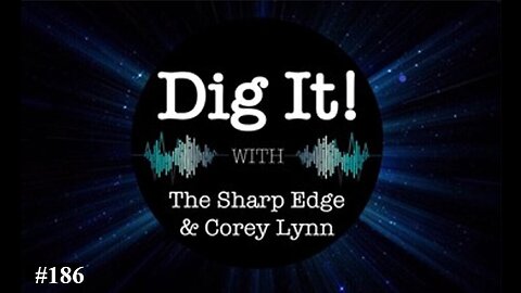 Dig It! #186: Gun Laws, AI, Big Banks, World Bank & More