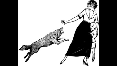 Dog Attack: How To Defend Yourself