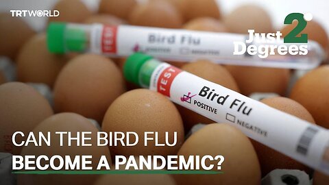 Just 2 Degrees: Can the bird flu become a pandemic?