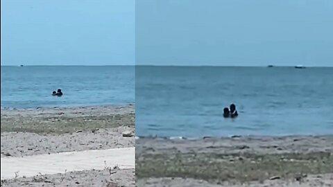 ¿Un Delicioso ? Se viraliza video de una pareja en playa de Cartagena