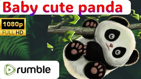 baby panda 💖💞mother panda