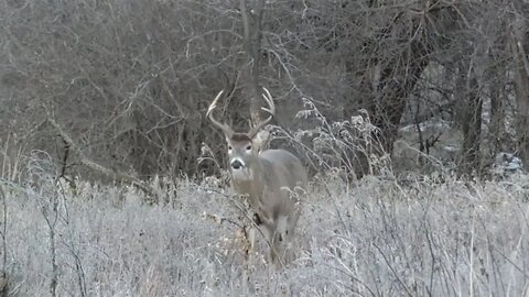 Crossbow Country | Deer & Deer Hunting TV