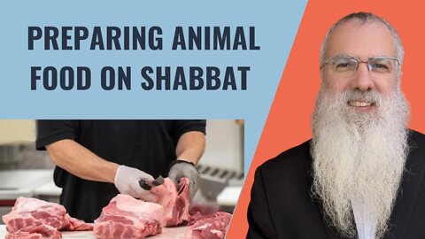 Mishna Shabbat Chapter 24 Mishnah 4 Preparing animal food on Shabbat