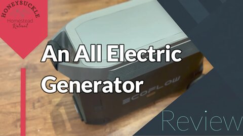 Ecoflow Pro review!! Will the all electric generator EcoFlow Pro power my entire tiny house??