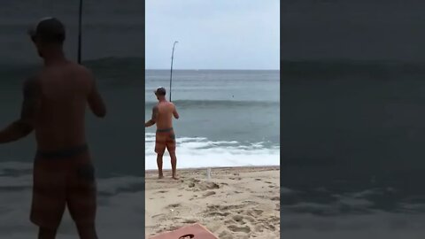 A Great White Shark steals the fish off our line at Nauset Beach, Cape Cod🦈