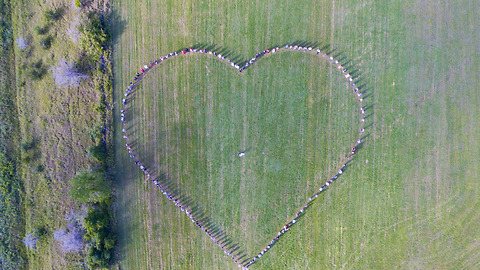 Guests Form Heart Shape For The Most Memorable Drone Wedding Footage
