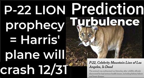 Prediction- P-22 LION prophecy = Harris' plane will crash Dec 31