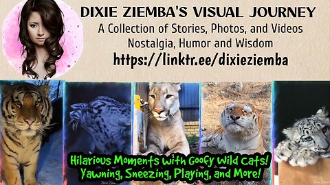 Hilarious Moments with Goofy Wild Cats! Yawning, Sneezing, Playing, and More!