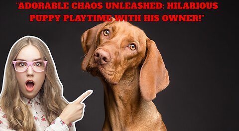 "Adorable Chaos Unleashed: Hilarious Puppy Playtime with His Owner!"