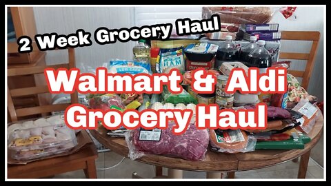 Walmart & Aldi Grocery Haul I 2 Week Grocery Haul