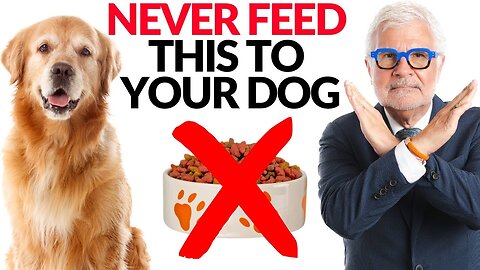 What Vets DON'T Tell You! Secrets to Extending Your Dog's Lifespan! | Dr. Steven Gundry