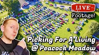 Peacock Meadow Car Boot Sale | Picking For A Living! | eBay UK Reseller 2021