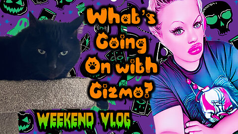 What Is Going On With Gizmo?? Weekend Vlog