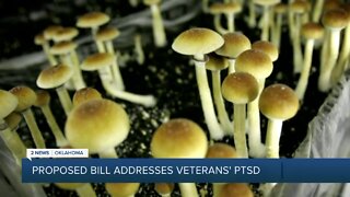 Proposed Bill Addresses Veterans' PTSD