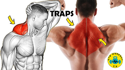 How To Build Bigger Traps | Trap Workout