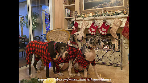 Great Dane Plaid PJ Pack Enjoy Christmas Santa & Stocking Fun