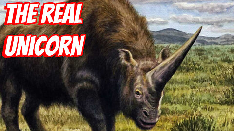 How Big Is A Elasmotherium?