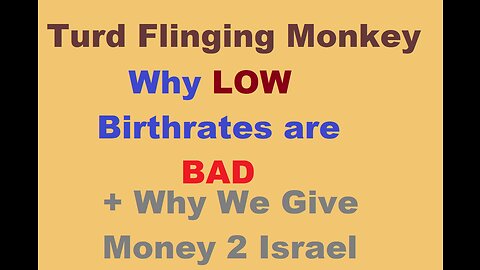 Turd Flinging Monkey on WHY Low Birthrates are BAD + WHY we give money to Israel