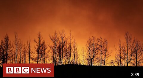 Wildfires threaten Turkey coastal resorts - BBC NEWS