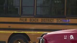 Concerns raised amid school bus crashes