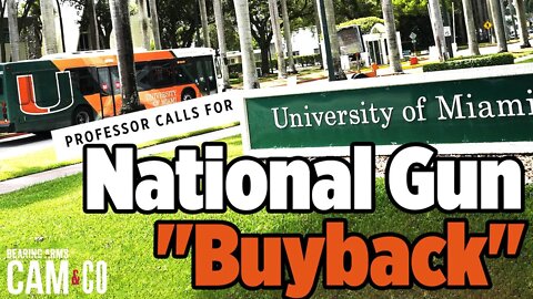 Professor calls for national gun "buyback"