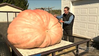 The heaviest pumpkin in Wisconsin weighs 2,015 pounds