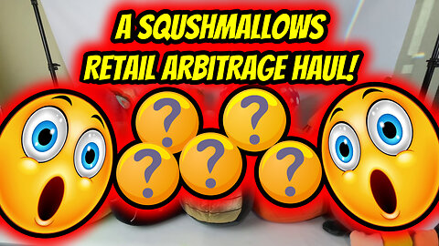 Ep. 18 - A Squshmallows Retail Arbitrage Haul!