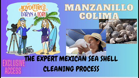 Mexican Sea Shell Cleaning Process Manzanillo, Colima Mexico (exclusive)