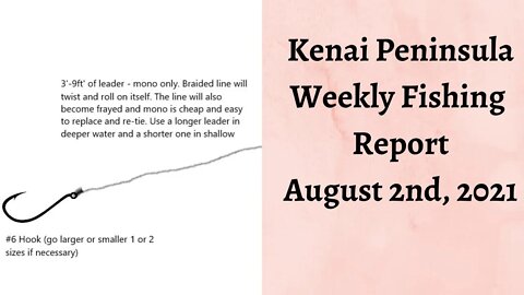 Kenai Peninsula Weekly Fishing Report | August 2nd, 2021