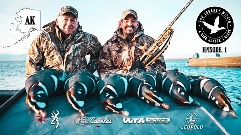 Layout Limits of Harlequin: Cold Bay, Alaska | The Journey Within - Waterfowl Slam