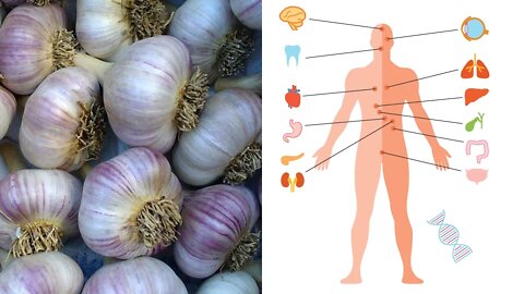 What is Garlic Good For? Benefits and Medicinal Uses for Garlic