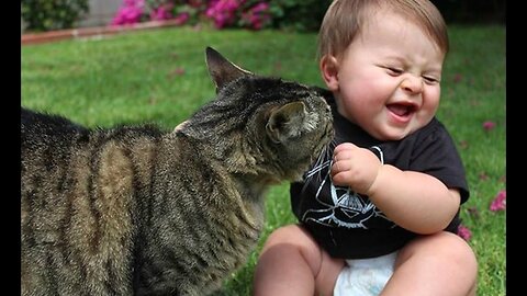 Funny Babies Laughing Hysterically at Cats Compilation (2017)#funny #babieslaughing #funnycatvideos