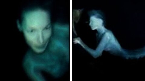 Unbelievable Mermaids Sightings Nobody's Supposed To See