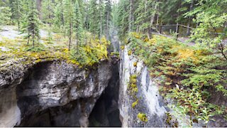 An 11-Year-Old Girl Has Died After Falling From A Bridge Into A Canyon In Jasper