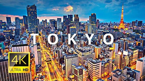 Tokyo Vacation Travel Guide .