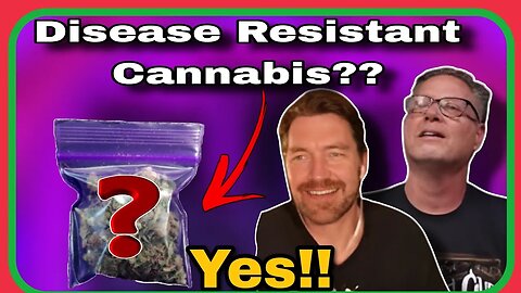 Are Purple Cannabis Strains MORE Disease Resistant??