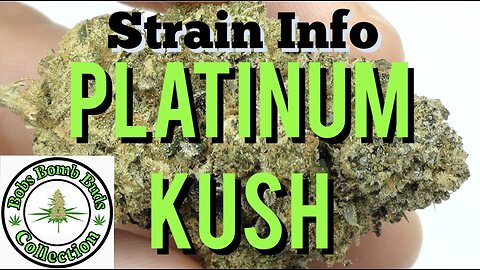 Platinum Kush, Cannabis Strain. BC Bud Supply Marijuana Dispensary