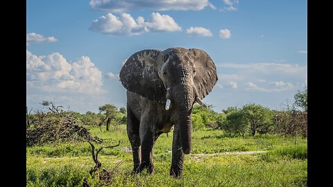 Victoria Falls loop - Jan 2023