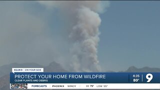 Protect your home from wildfires