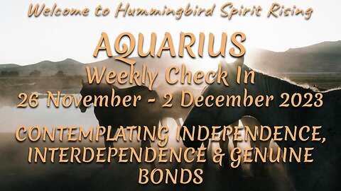 AQUARIUS Weekly Check In 26 Nov - 2 Dec 2023 - CONTEMPLATING INDEPENDENCE, INTERDEPENDENCE & GENUINE BONDS