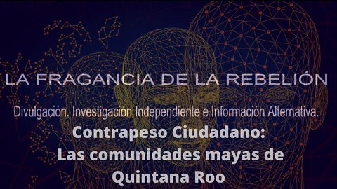 Contrapeso Ciudadano Las comunidades indígenas mayas de Quintana Roo