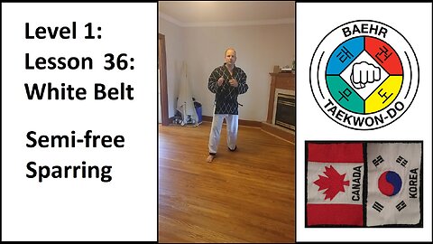 Baehr Taekwondo: 01-36: White Belt - Semi-Free Sparring